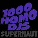 1000 Homo DJs - 1000 Homo DJs