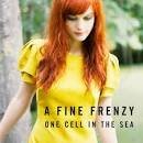 A Fine Frenzy - Lifesize