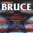 A Tribute to Bruce Springsteen [Platinum Disc]