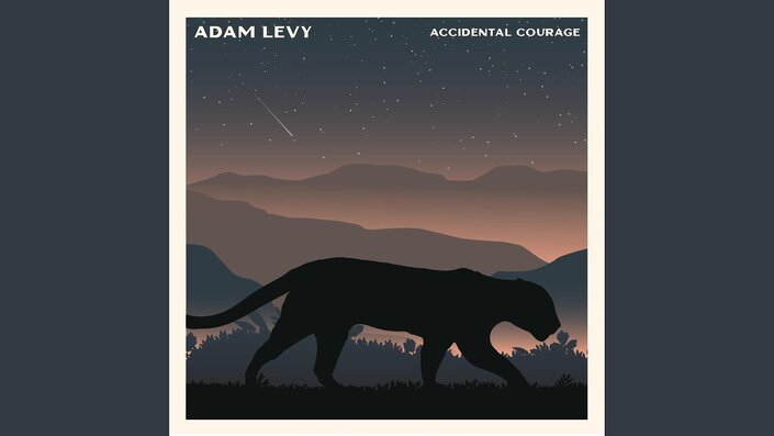 Adam Levy - I Forgot About This Room