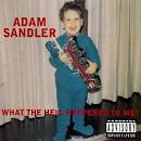 Adam Sandler - What the Hell Happened to Me?
