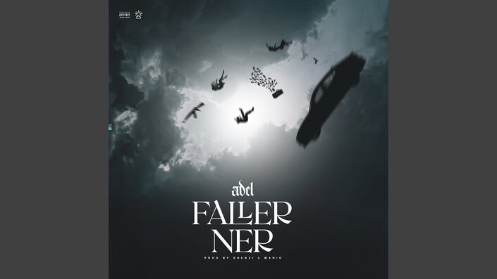 Faller Ner