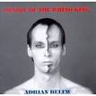 Adrian Belew - Desire of the Rhino King