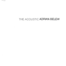 The Acoustic Adrian Belew
