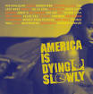 A.C.D. - America Is Dying Slowly