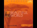 Beautiful World - ...In Existence