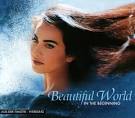 Beautiful World - In the Beginning