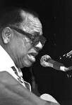 Big Joe Williams - Best of Blues: Original Blues Classics