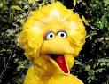 Big Bird - Sesame Street: Love