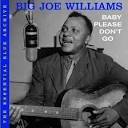 Big Joe Williams - Baby Please Don't Go: The Essential Big Joe Williams
