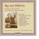Big Joe Williams - Big Joe Williams, Vol. 2, 1945-1949
