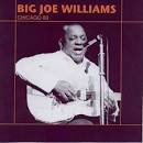 Big Joe Williams - Chicago 63