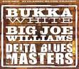 Big Joe Williams - Delta Blues Masters