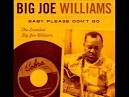 The Essential Big Joe Williams