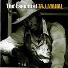 Blind Willie McTell - The Essential Taj Mahal