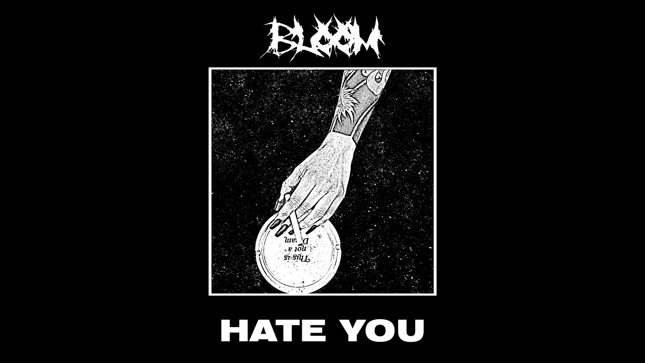 Hate You - Hate You