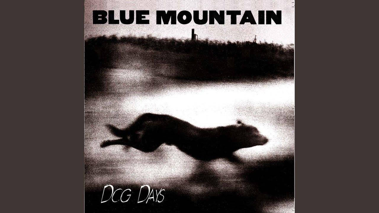 Blue Mountain - Wink