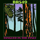 BR5-49 - Tangled in the Pines
