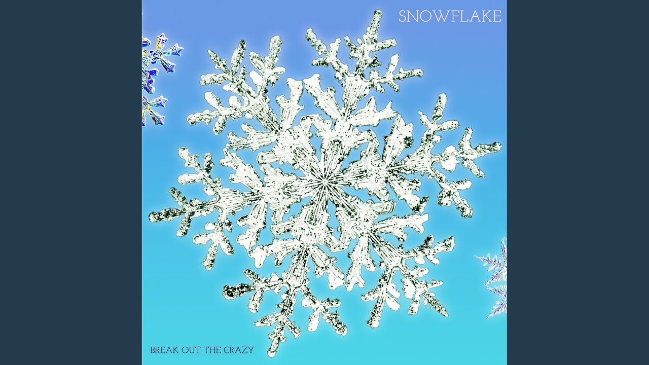 Snowflake - Snowflake