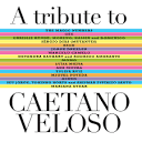 Caetano Veloso - You Don't Know Me: A Tribute to Caetano Veloso