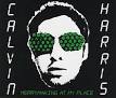 Calvin Harris - Merrymaking at My Place