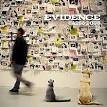 Evidence - Cats & Dogs