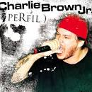 Charlie Brown Jr. - Perfil