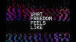 Cody Carnes - What Freedom Feels Like