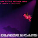 Controlled Bleeding - The Other Side of Pink: A Tribute to Pink Floyd