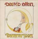 Daevid Allen - Banana Moon