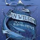 Dan Wilson - Live at Electric Fetus