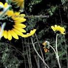 Darden Smith - Sunflower