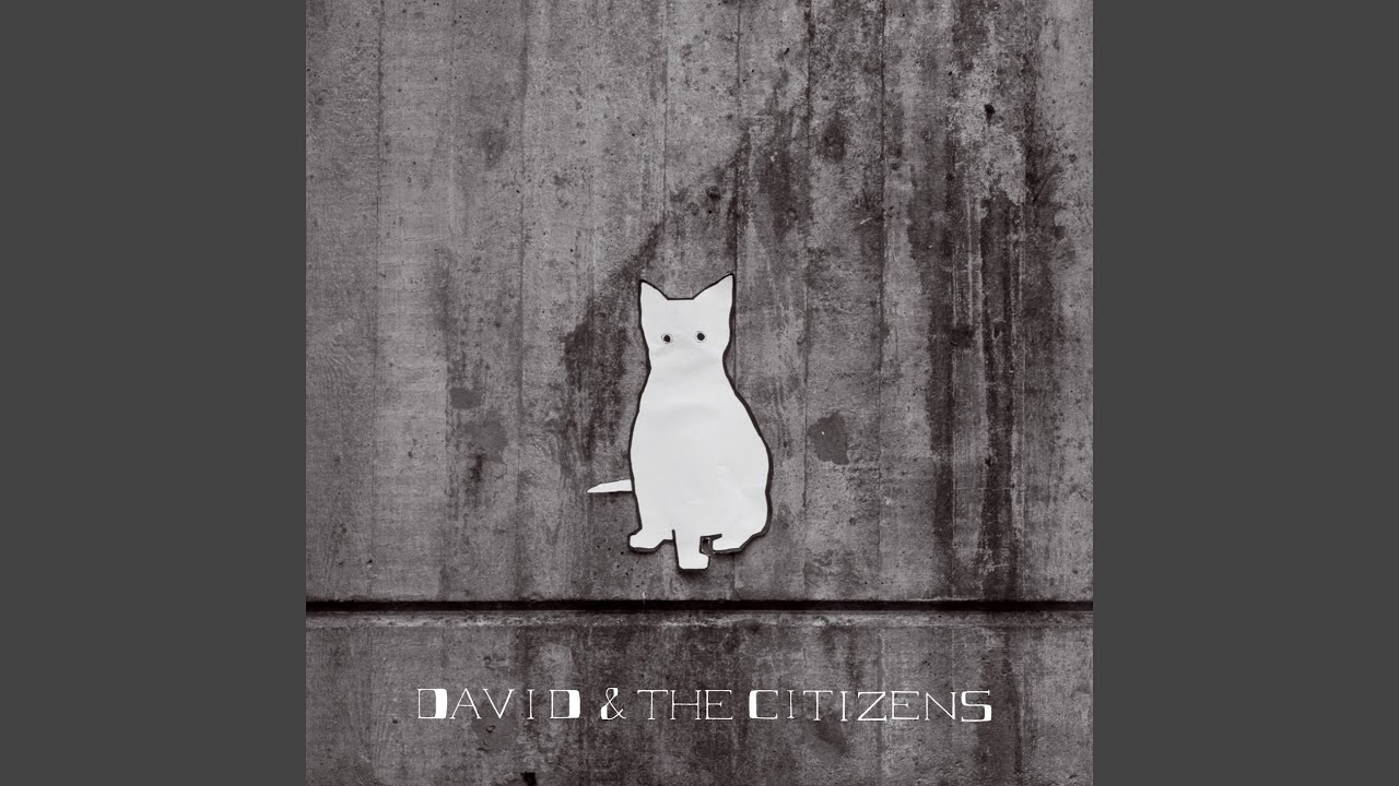 David & the Citizens - Absent Mind