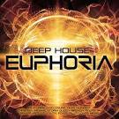 Mark Knight - Deep House Euphoria