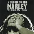 Peter Tosh - Tribute to Bob Marley...The Riddim of a Legend