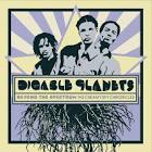 Digable Planets - Beyond the Spectrum: The Creamy Spy Chronicles
