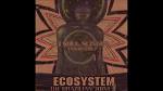 DJ Soul Slinger - Ecosystem: The Brazilian Joint