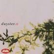 Calexico - Duyster, Vol. 2