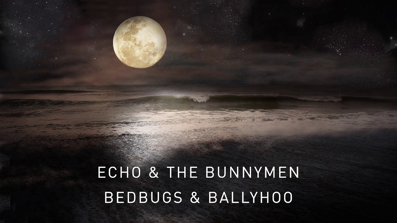 Bedbugs & Ballyhoo [Transformed]