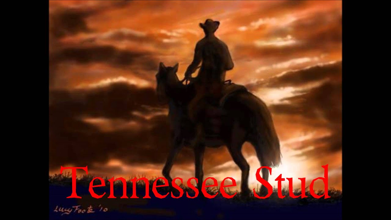 Tennessee Stud - Tennessee Stud
