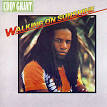 Eddy Grant - Walking on Sunshine