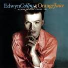 Edwyn Collins - A Casual Introduction 1981 to 2001