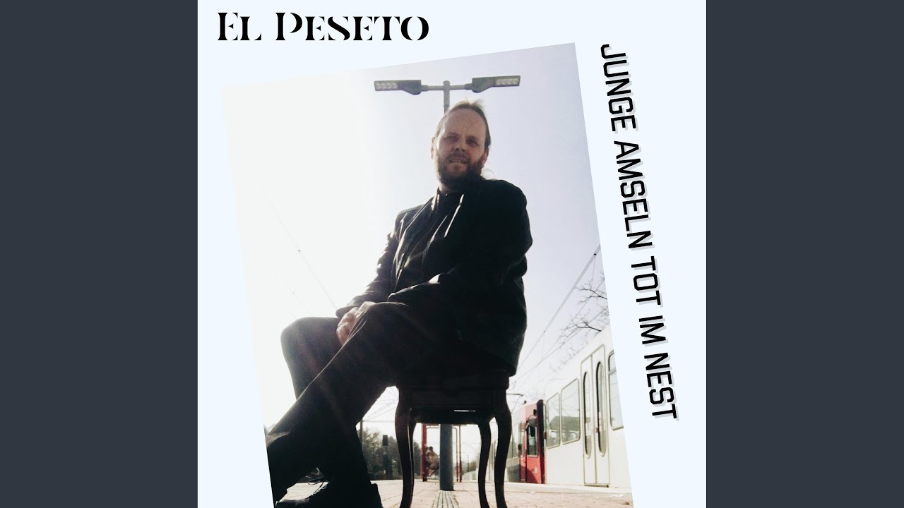 El Peseto - Junge Amseln tot im Nest