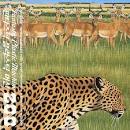 Fantastic Plastic Machine - Zoo