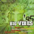 Fatima Mansions - Big Vibes '95