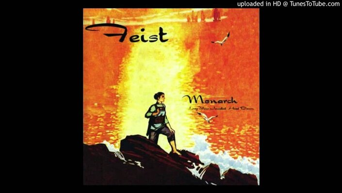 Feist - That's What I Say, It's Not What I Mean