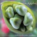Fiona Apple - Extraordinary Machine [Bonus Tracks]