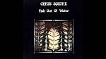 Alan White - Fish out of Water