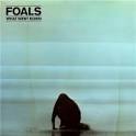 Foals - What Went Down [Deluxe Edition]