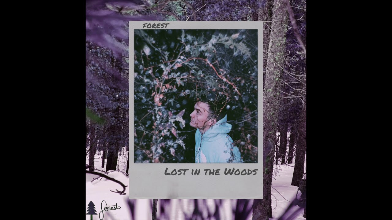 Lost In the Woods - Lost In the Woods